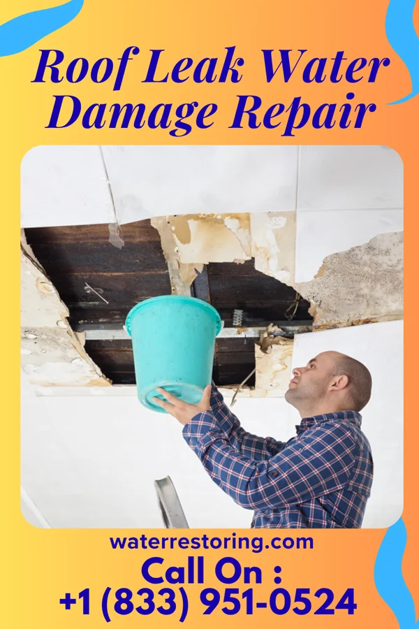 Roof Leak Water Damage Repair in Wilton Center, IL